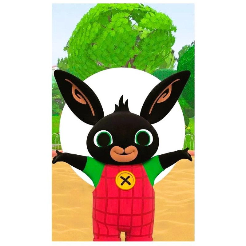 Ručník Bing