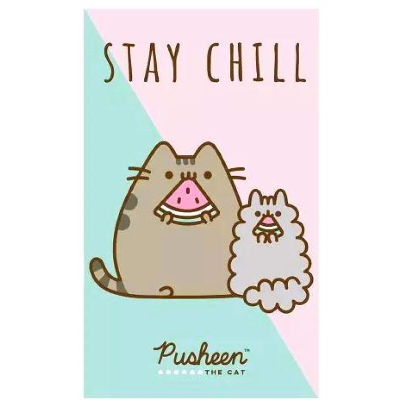 Ručník Pusheen Stay Chill