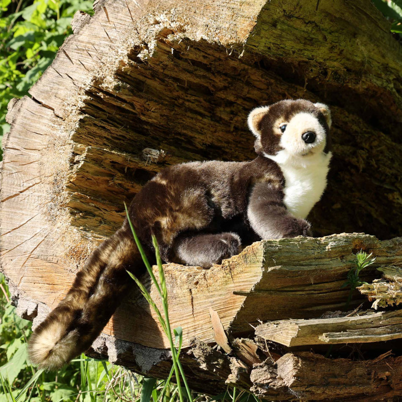 Plyšová kuna 39 cm ECO-FRIENDLY