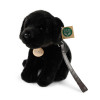 Plyšový pes labrador černý s vodítkem 25 cm ECO-FRIENDLY