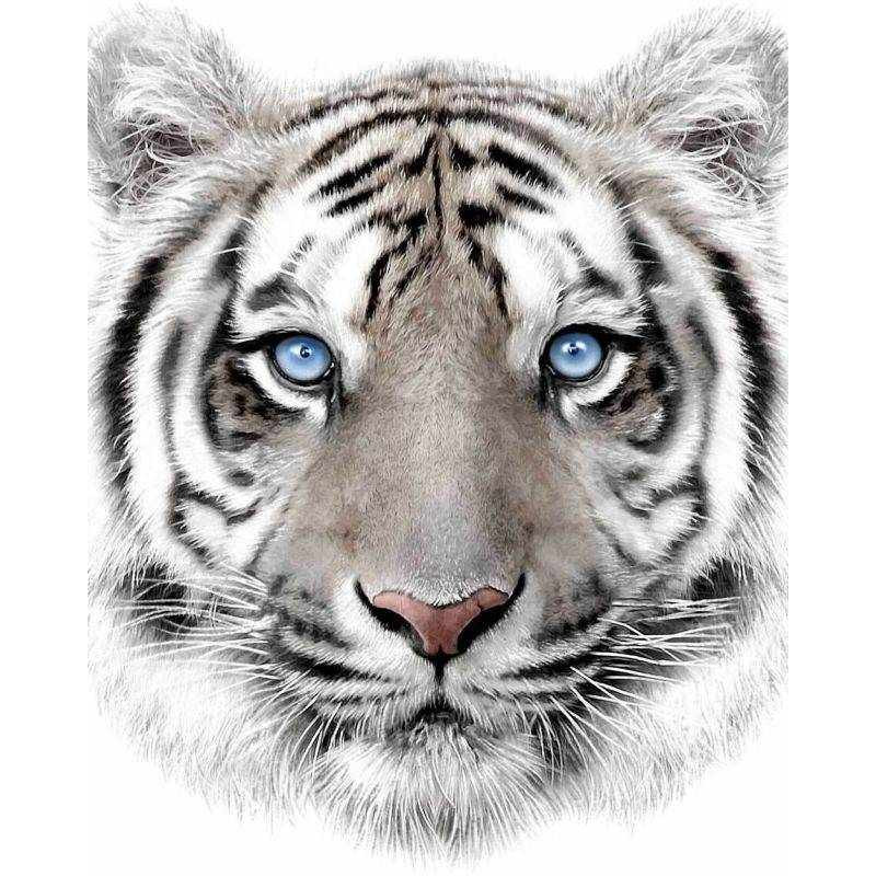 Deka Bílý Tygr s digitálním potiskem