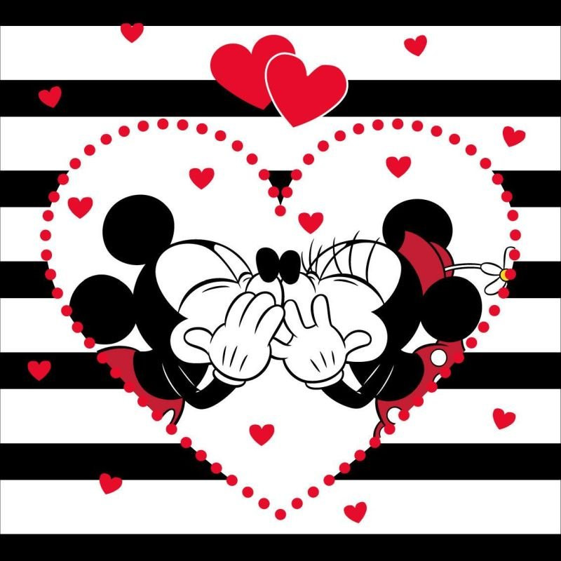 Povlak na polštářek Mickey a Minnie stripes