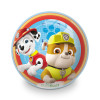 Míč nafouknutý Paw Patrol 23 cm BIO BALL