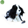 Plyšový pes kavalier 27 cm ECO-FRIENDLY