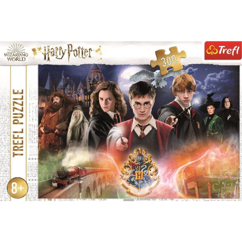 PUZZLE HARRY POTTER  300 dílků