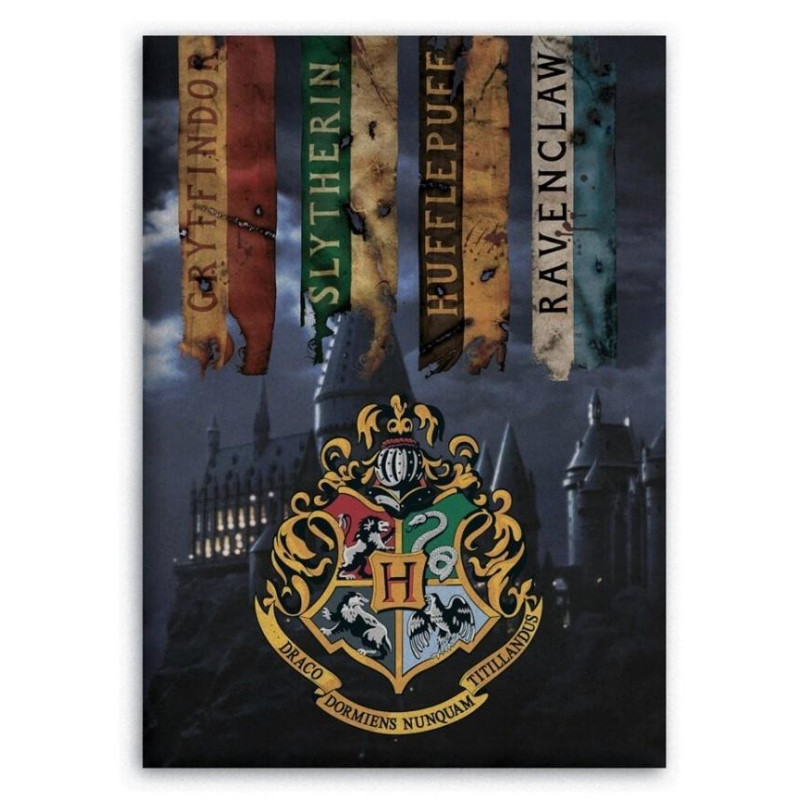 DEKA HARRY POTTER