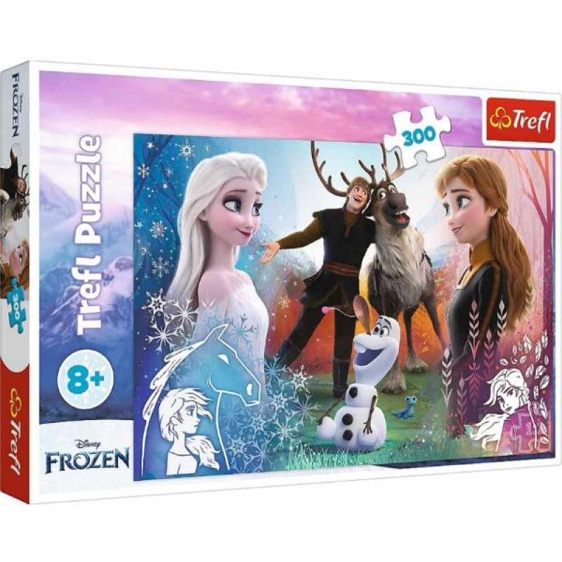 PUZZLE FROZEN 2 KOUZELNÝ ČAS 300 dílků