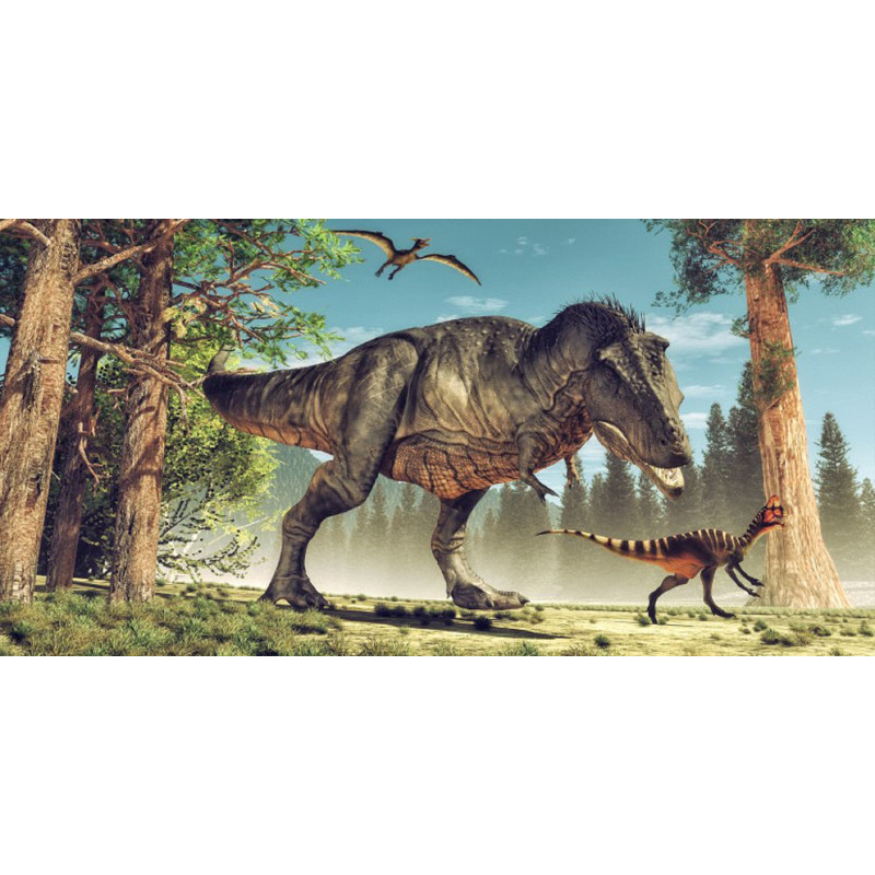 Osuška Dinosauří svačinka