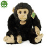 Plyšový šimpanz 27 cm