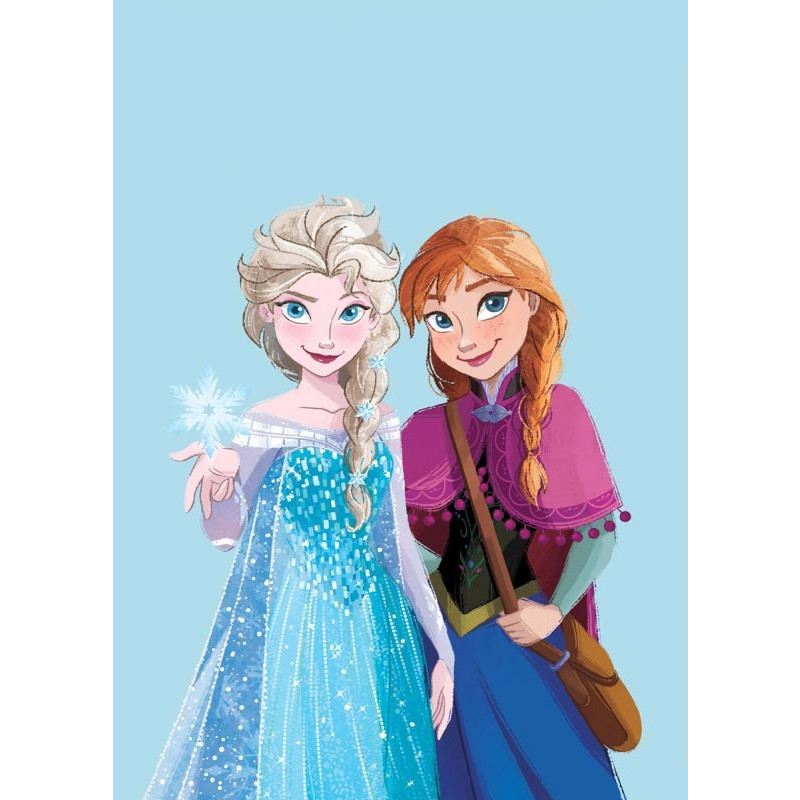 Deka Ledové Království Anna a Elsa