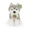 Plyšový pes husky 23 cm SOFT COLLECTION