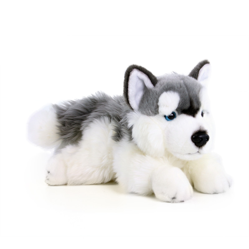 Plyšový pes husky ležící 30 cm